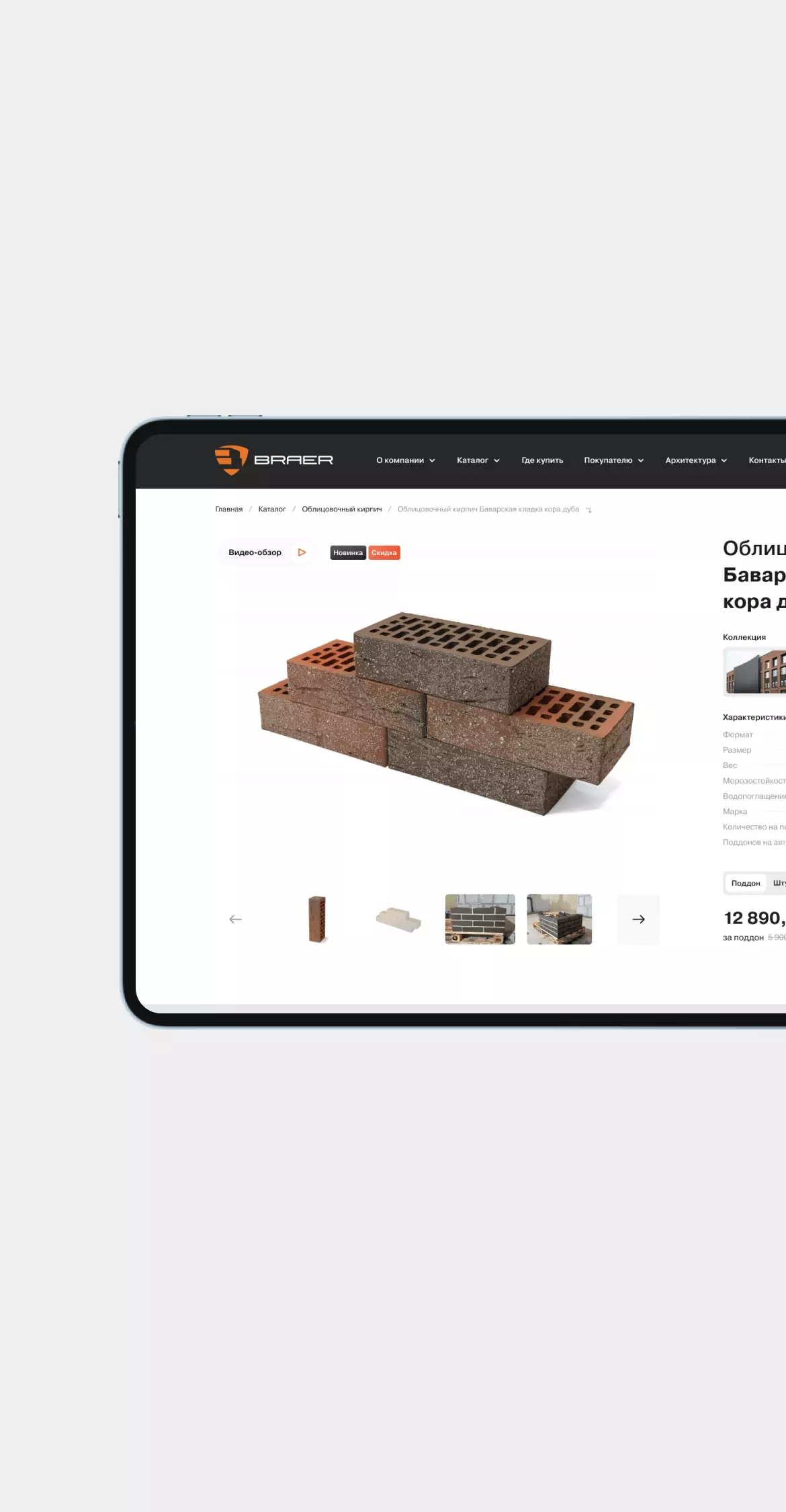 Страница категории товаров Braer